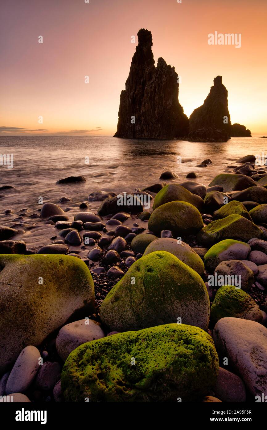 La roccia vulcanica formazione Ilheus da costola, ripida costa di Ribeira de Janela, anche Ribeira da Janela, sunrise, Porto Moniz, isola di Madeira, Portogallo Foto Stock