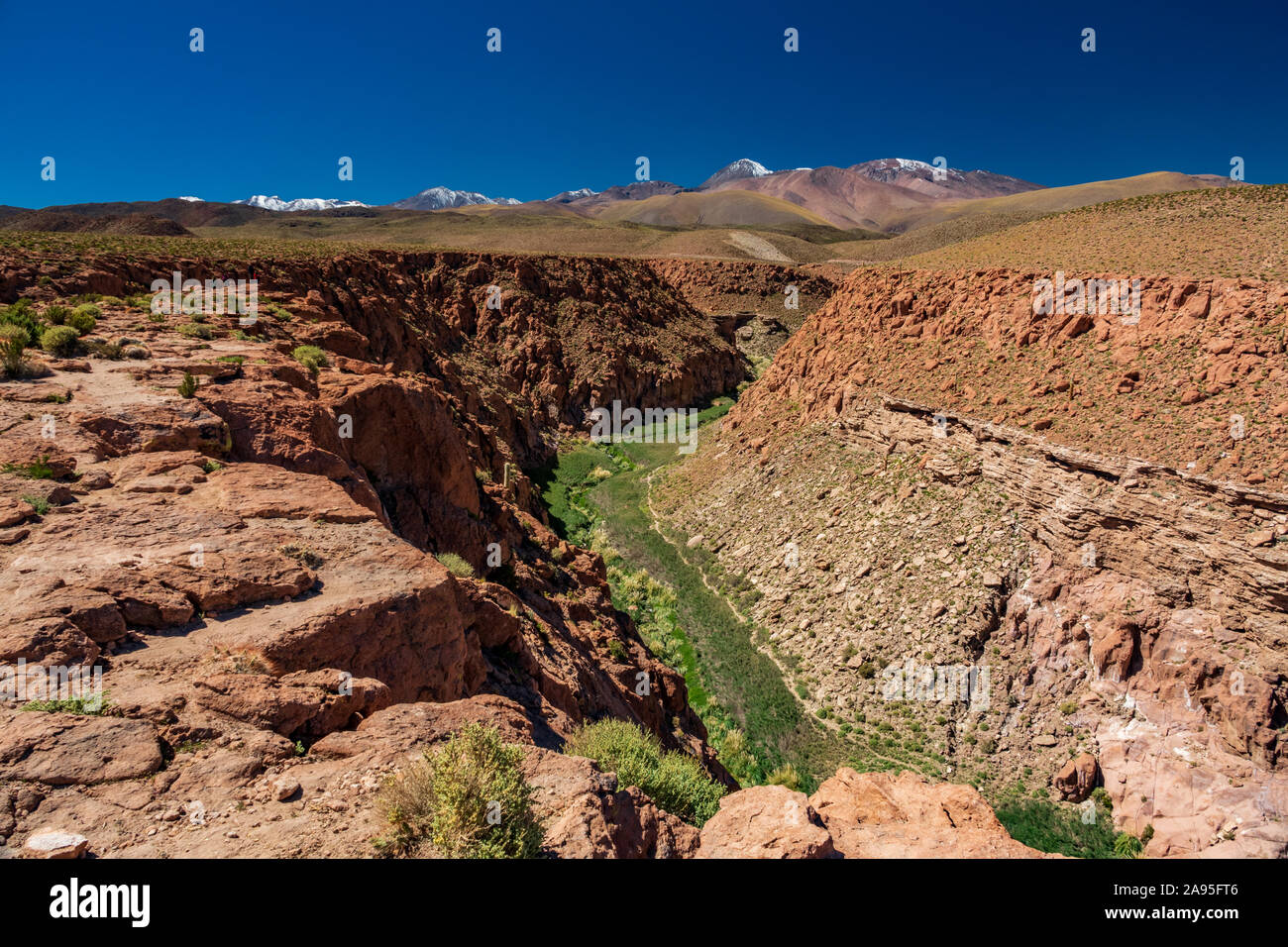 Verde profondo canyon nel deserto, vista dall'alto Foto Stock