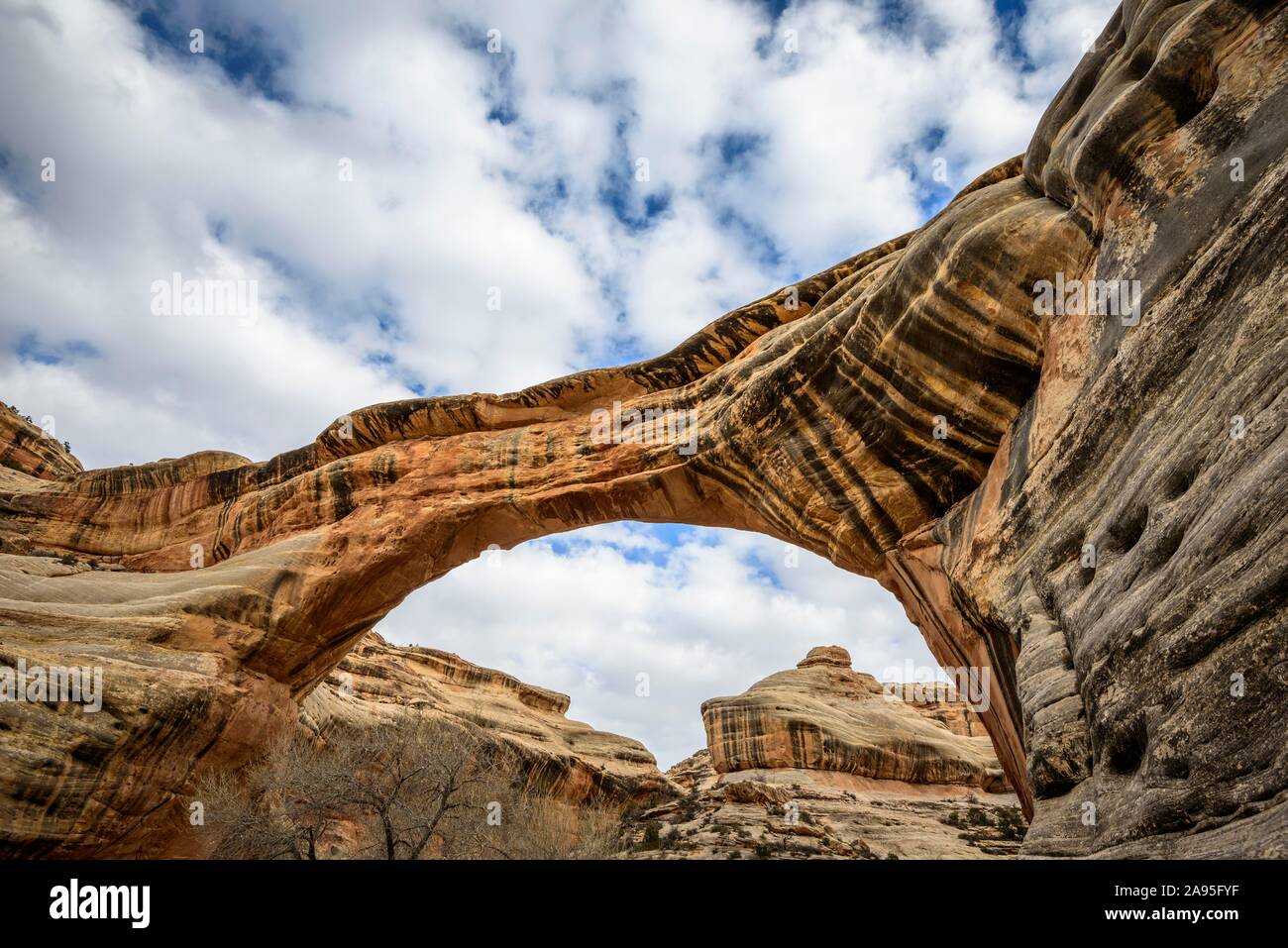 Sipapu Bridge, Arco Naturale, ponti naturali monumento nazionale, Utah, Stati Uniti Foto Stock