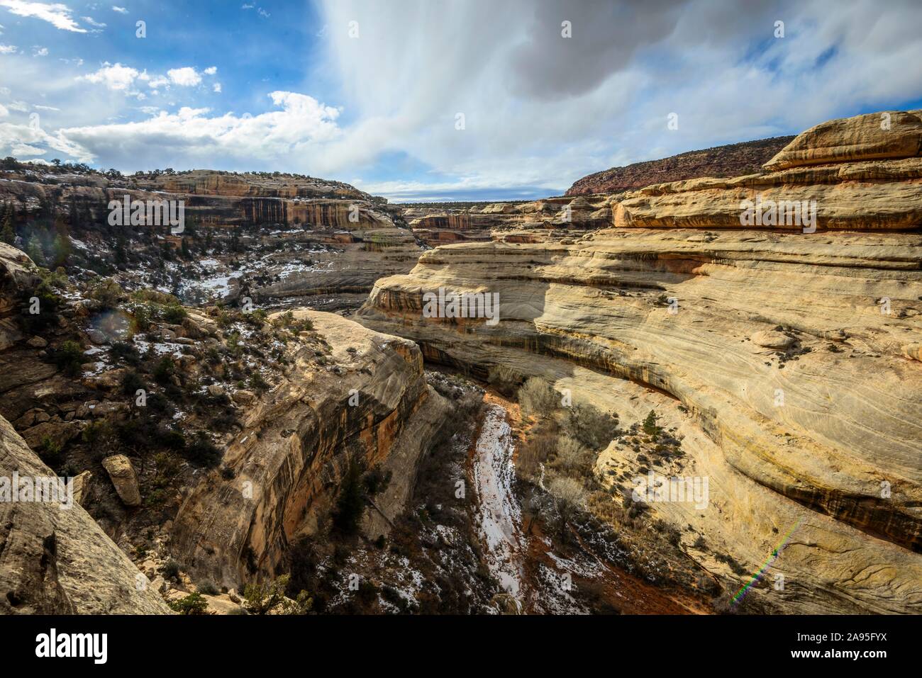 Bick nel Canyon di cervo vicino Sipapu Bridge, ponti naturali monumento nazionale, Utah, Stati Uniti d'America Foto Stock