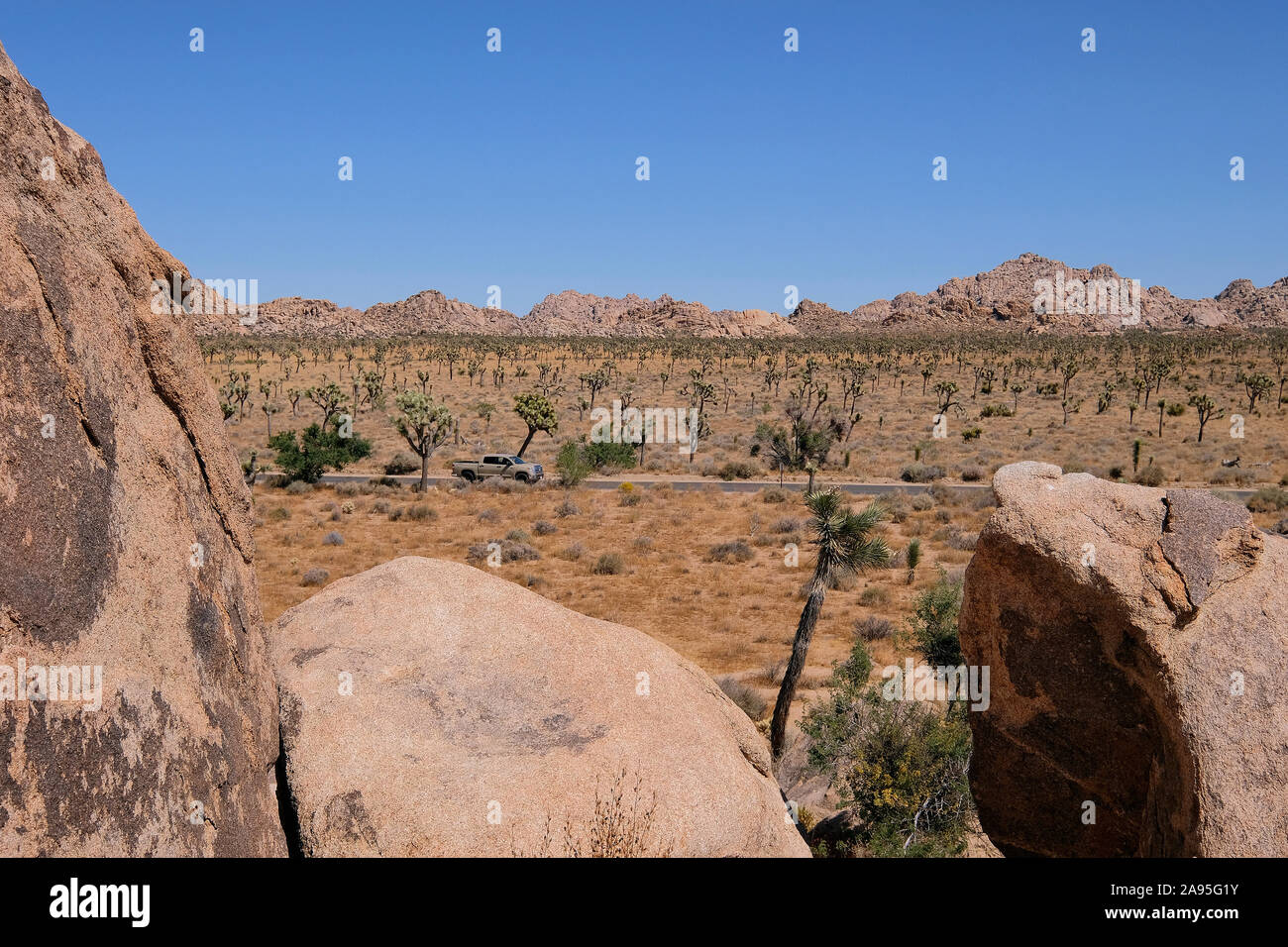 Joshua Tree National Park, California, Stati Uniti d'America Foto Stock