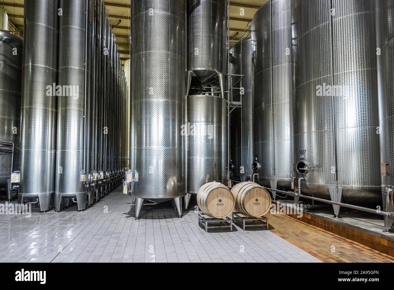 Serbatoi di vino, Badischer Winzerkeller, Breisach am Rhein, Breisgau, Foresta Nera, Baden-Württemberg, Germania Foto Stock