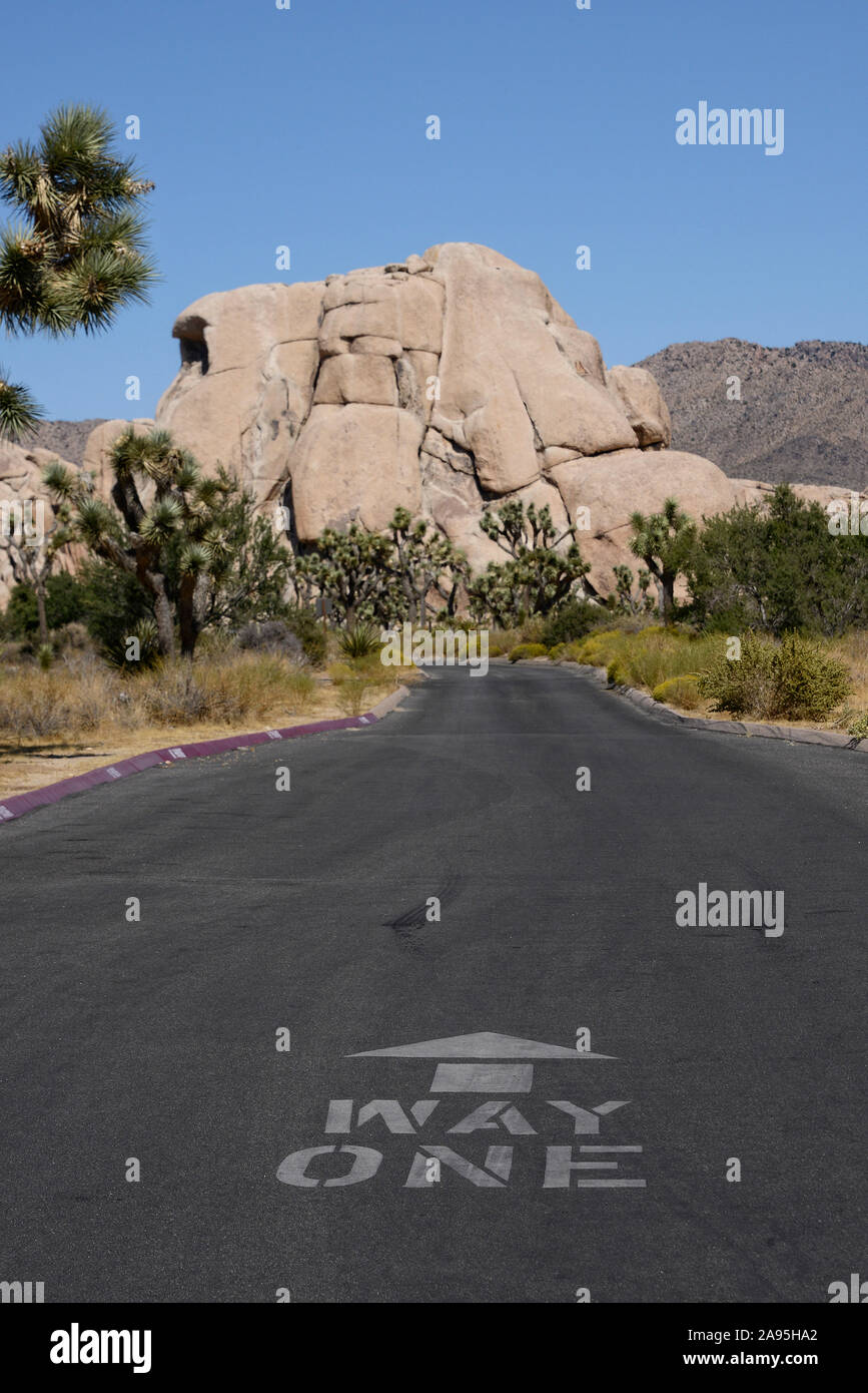 Joshua Tree National Park, California, Stati Uniti d'America Foto Stock