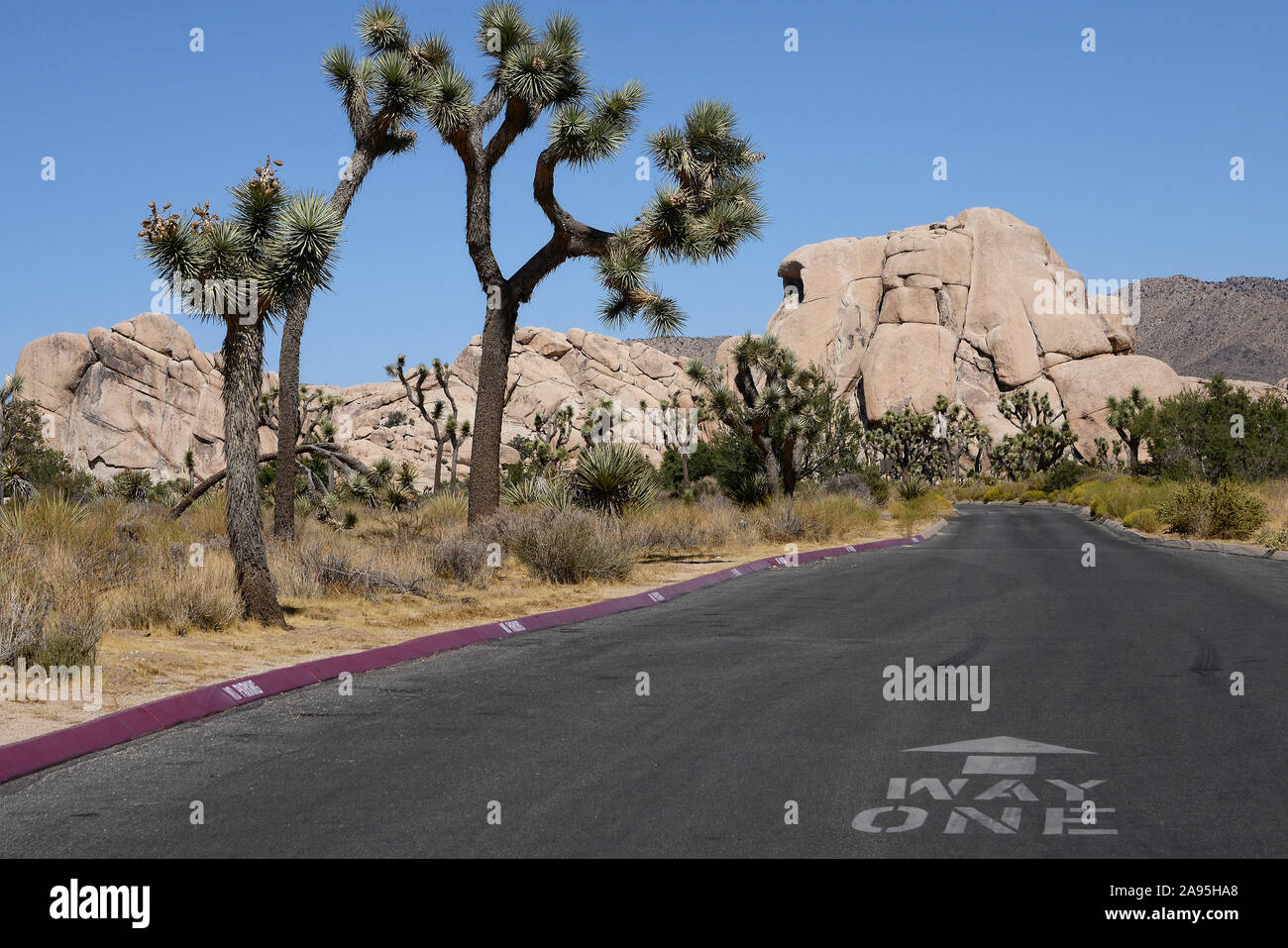 Joshua Tree National Park, California, Stati Uniti d'America Foto Stock