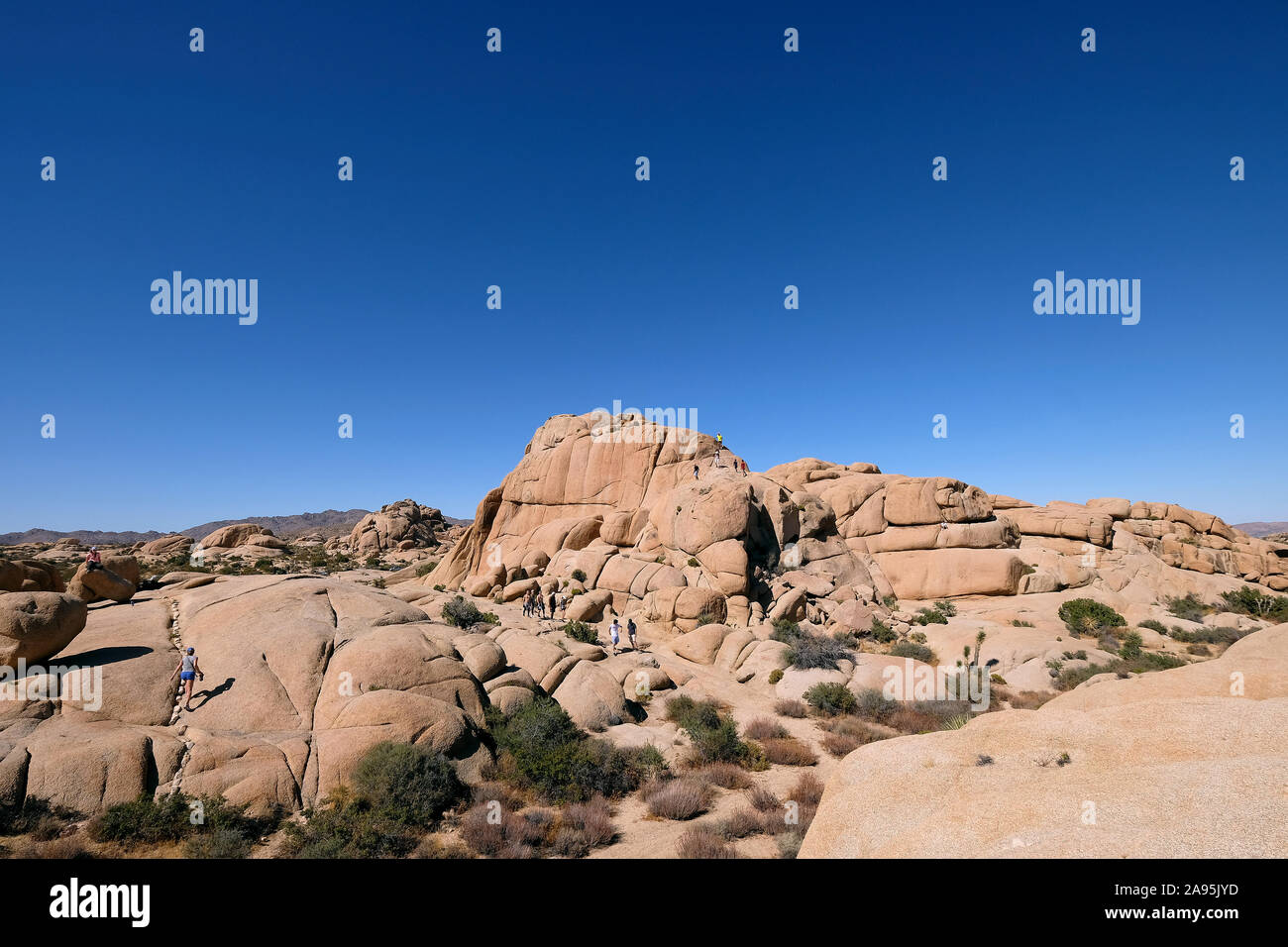 Joshua Tree National Park, California, Stati Uniti d'America Foto Stock