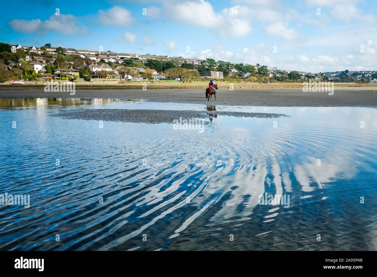 Percorsi per Pony a bassa marea sul Gannel Estuary in Newquay in Cornovaglia. Foto Stock