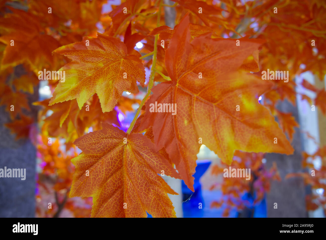Fantasy leafs Foto Stock