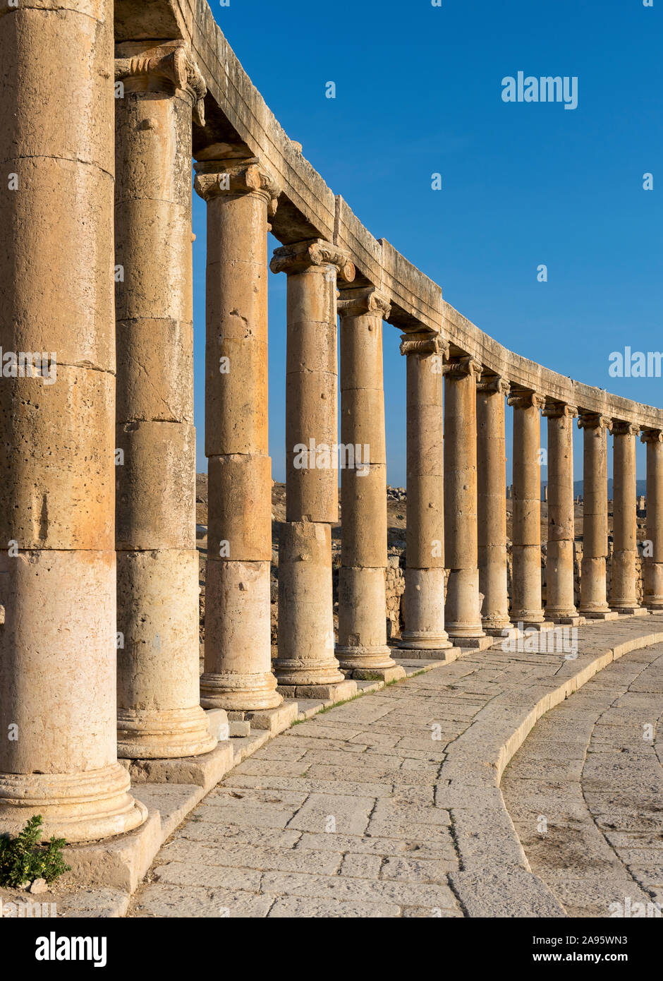 Colonne a forma ovale Plaza (Forum), Jerash, Giordania Foto Stock