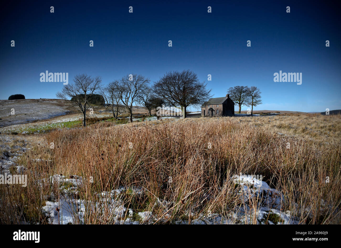 Solitaria remoto cottage in pietra circondato da un piccolo gruppo di alberi in vuoto paesaggio di brughiera con luce neve sulla terra e cielo blu Foto Stock