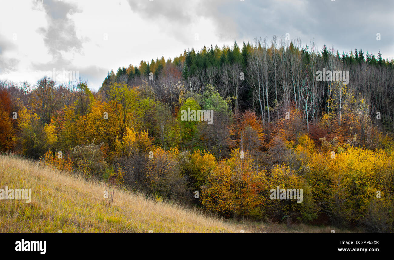 Bellissimo Cielo e nubi su una foresta sulla sommità di una collina nei pressi di un piccolo villaggio, con autunno alberi colorati e i colori autunnali Foto Stock