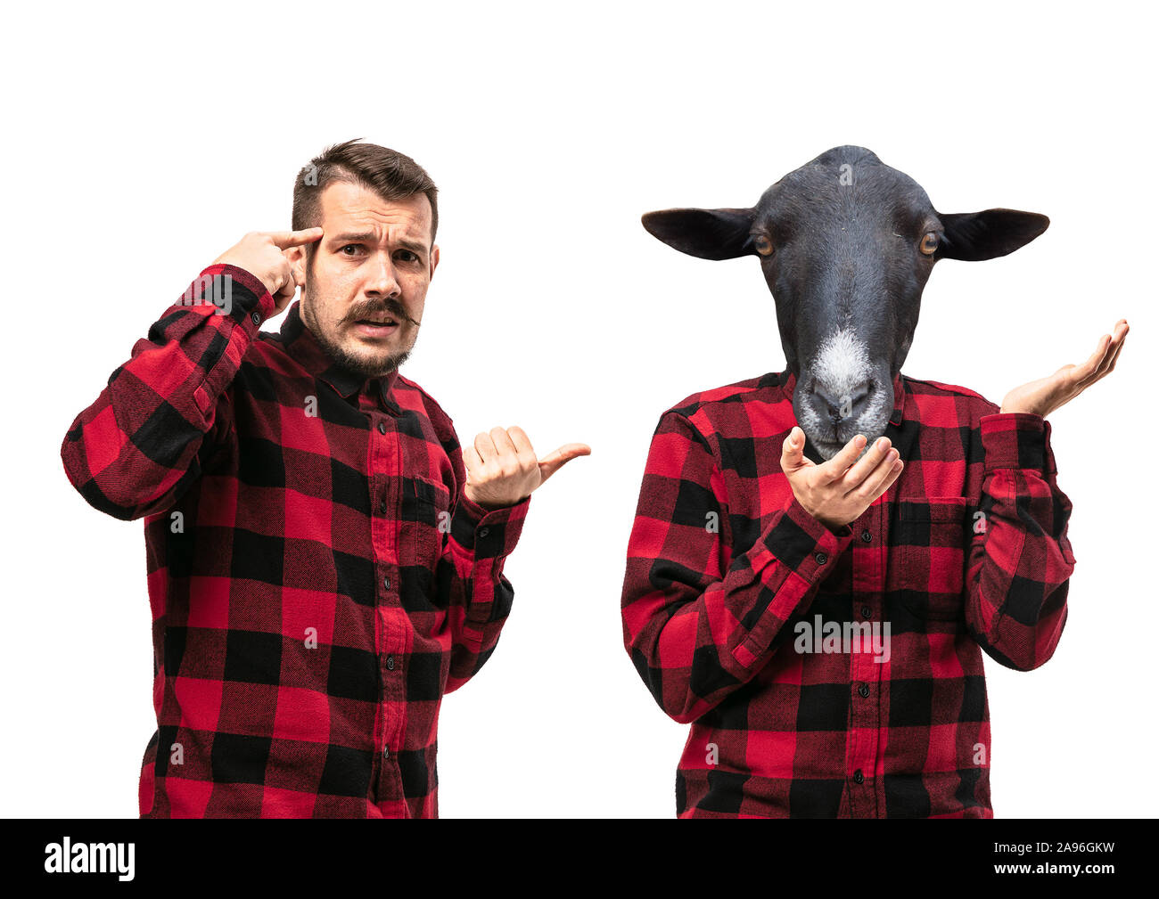 Ritratto di uomo sostenendo con se stesso come un asino bianco su sfondo per studio. Concetto di emozioni umane, espressione, problemi mentali, conflitti interni, sdoppiamento della personalità. Copyspace. Urlo. Foto Stock