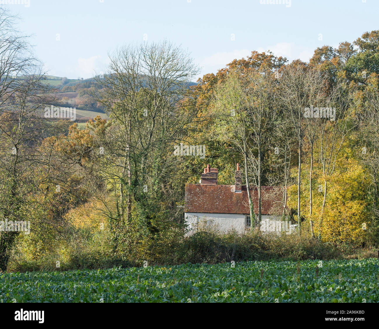 Cottage nascosti Foto Stock