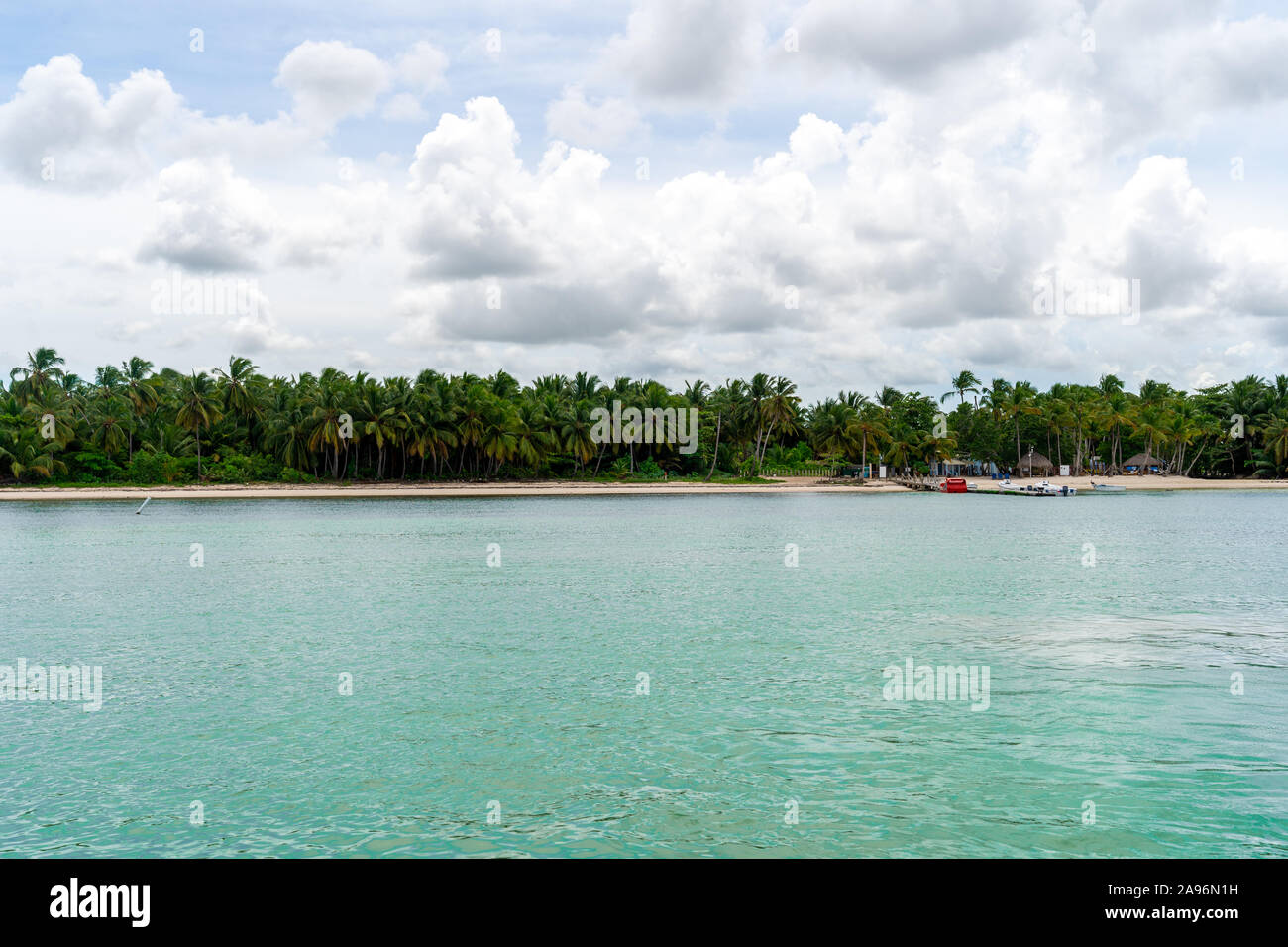 Dominican Beach con palme e acque turchesi. Foto Stock