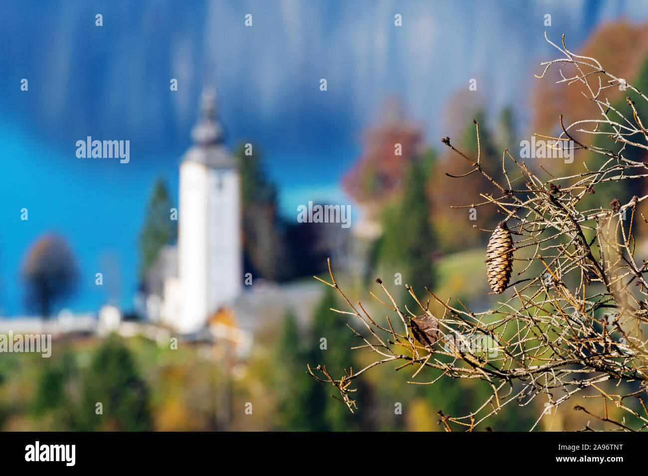 Cono di abete rosso su un ramo secco e una vecchia chiesa cattolica dal lago di Bohinj in background in Slovenia. Stagioni, invecchiamento, natura e religione concetti Foto Stock