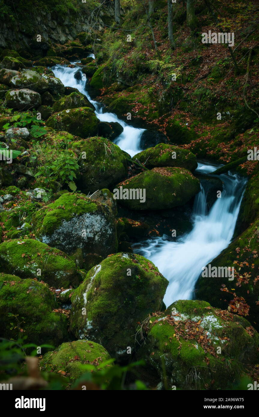 Un flusso di acqua che scorre sulle rocce di muschio in autunno Foto Stock