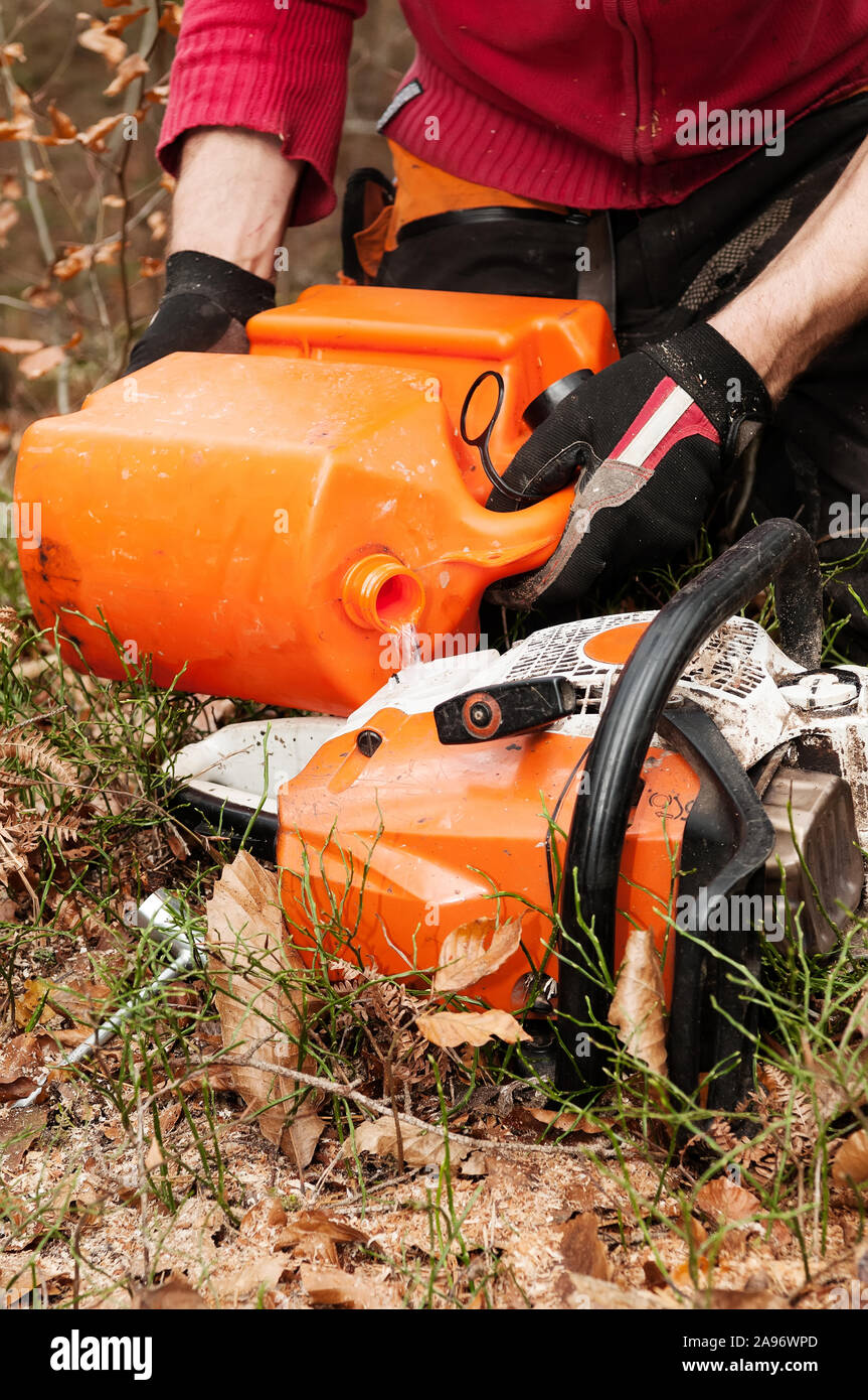 Close-up di forestazione riempimento chainsaw con benzina Foto Stock