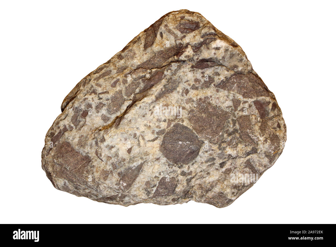 Breccia campione di roccia Foto Stock