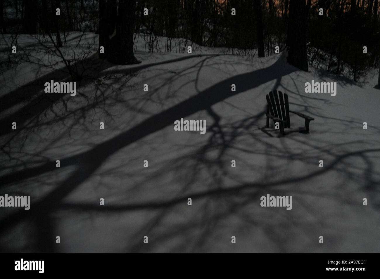 Chiaro di Luna nei boschi innevati Foto Stock