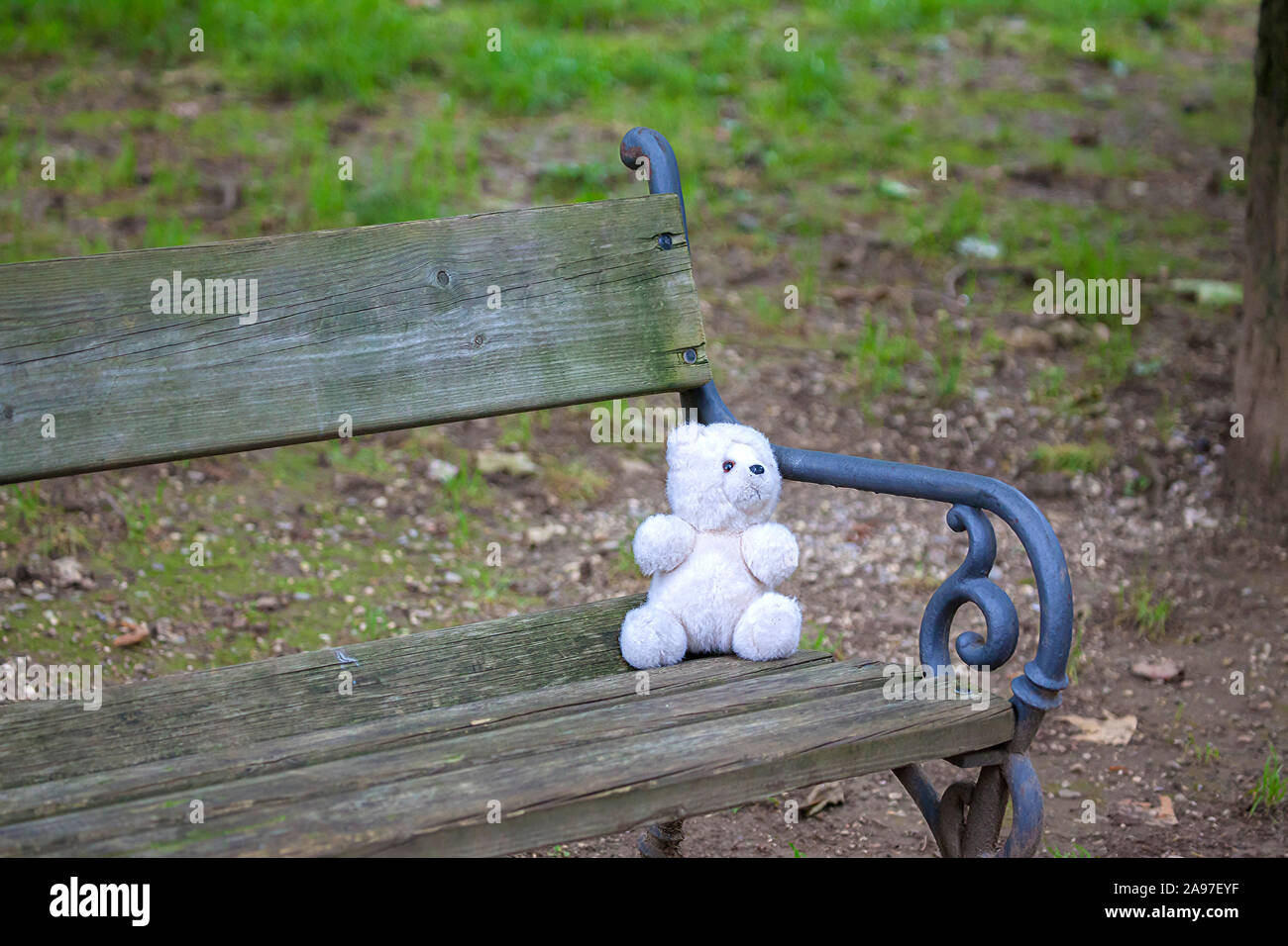 Orsacchiotto di peluche perso a sinistra secondo la guida Lonely su una panchina nel parco della città Foto Stock