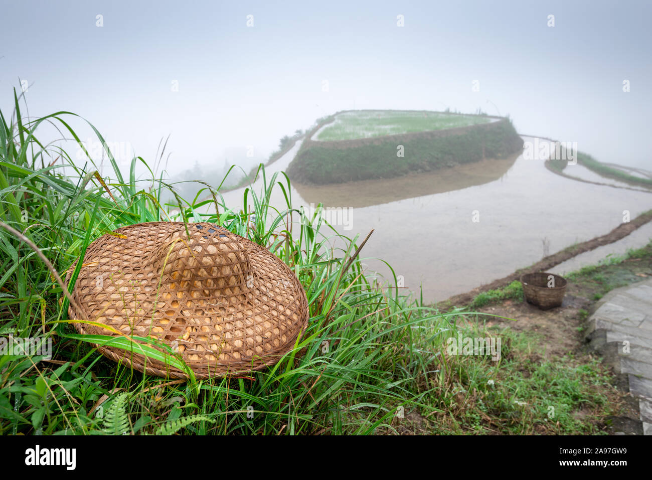 Guilin, Cina terrazzi di riso e dei lavoratori con cappello di pesante velatura. Foto Stock