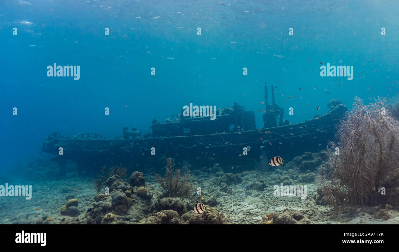 Rimorchiatore in acque poco profonde su Curacao Foto Stock
