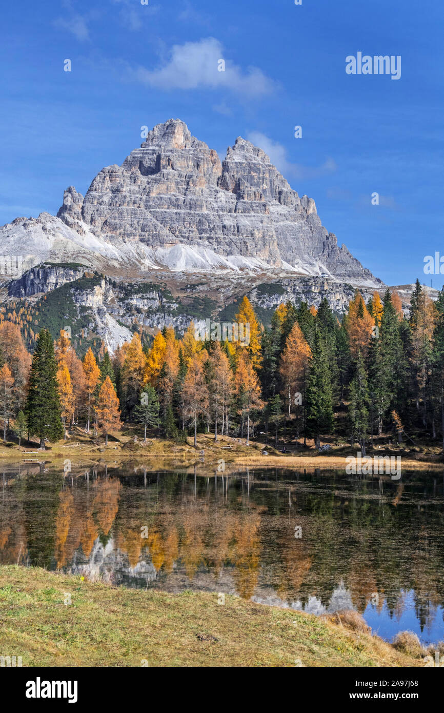 Mountain Drei Zinnen e larici riflessa nell'acqua del Lago d'Antorno in Tre Cime del parco naturale in autunno, Dolomiti, Alto Adige, Italia Foto Stock