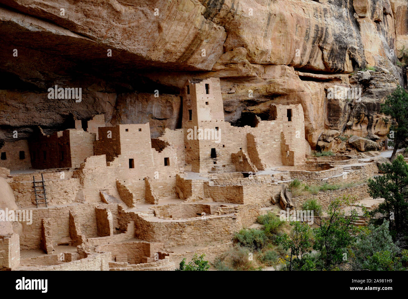 Viste del Cliff Palace Pueblo abitazioni a Mesa Verde National Park, COLORADO, Stati Uniti d'America. Le rovine possono essere visitate da vicino tramite un ranger del parco tour di piombo. Foto Stock