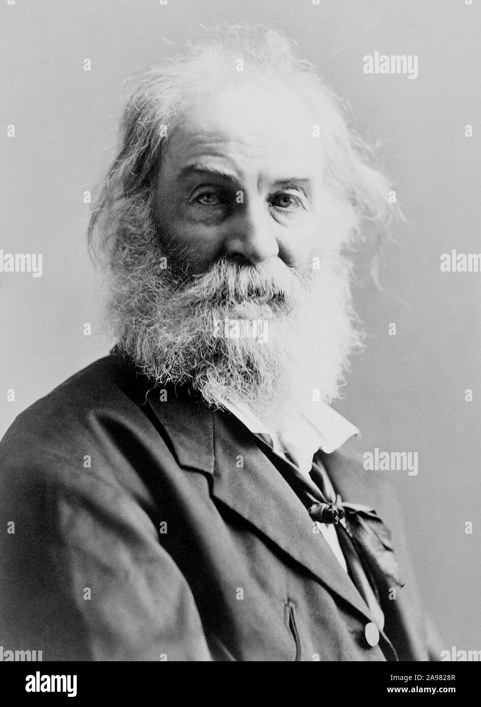 Vintage foto ritratto del poeta americano, saggista e giornalista Walt Whitman (1819 - 1892). Foto circa 1885 da barella. Foto Stock
