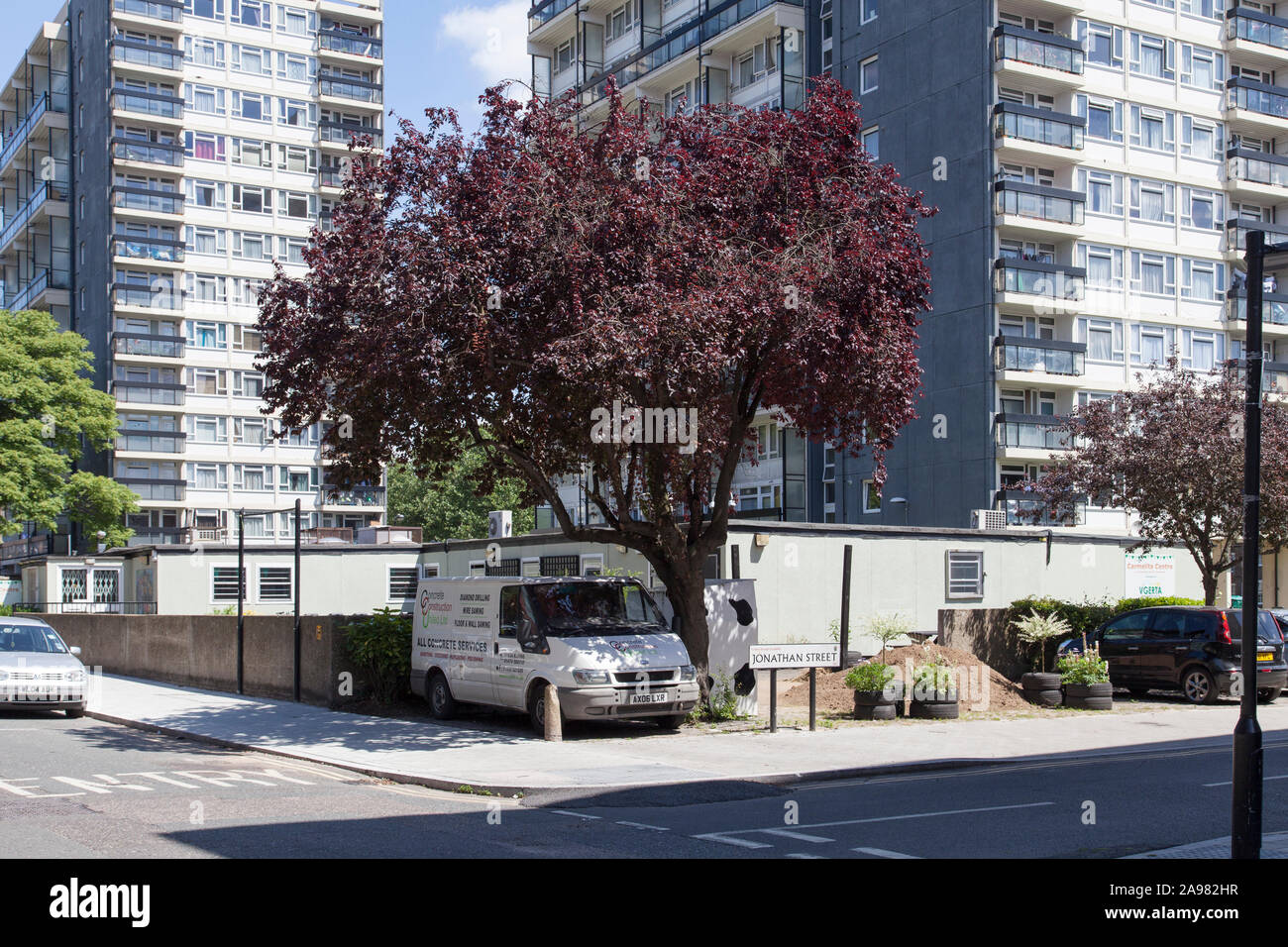 Urban Myrobalan Cherry Plum (Prunus cerasifera) tree, Vauxhall, London SE1 Foto Stock