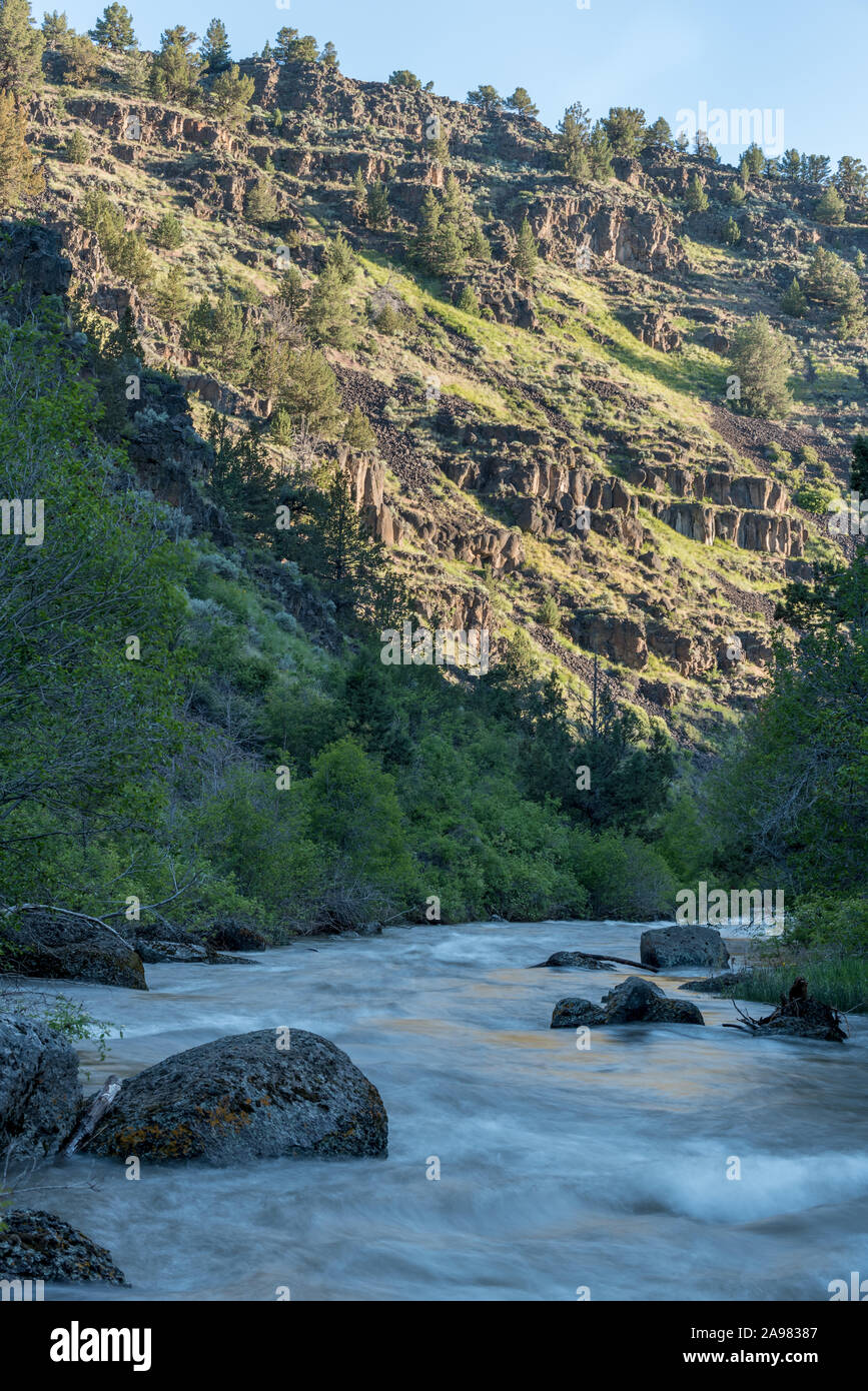 La Donner e Blitzen fiume che scorre attraverso un canyon in Eastern Oregon. Foto Stock