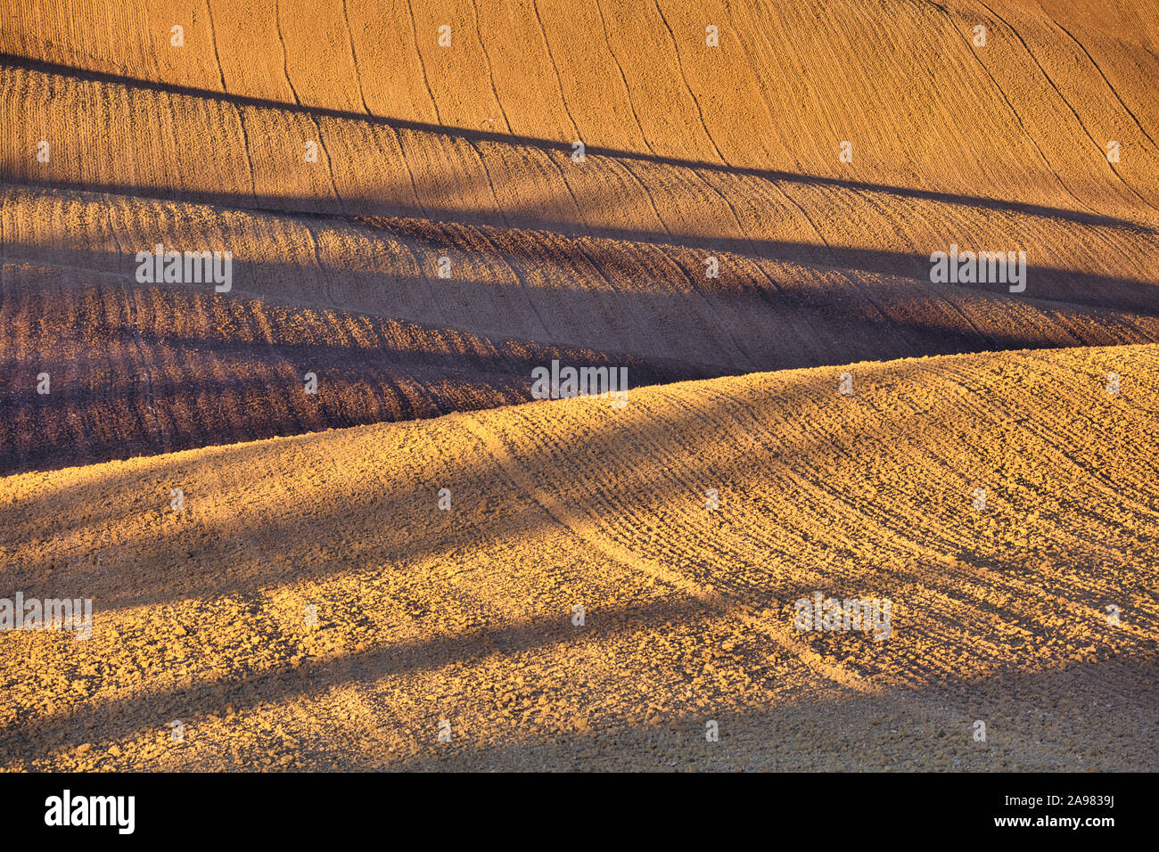 Un gioco di luci e di ombre in un campo di autunno nel paesaggio ondulato della Moravia del sud. Bassa sole di mattina delle vernici in campi di colore marrone. Toscana moravo Foto Stock