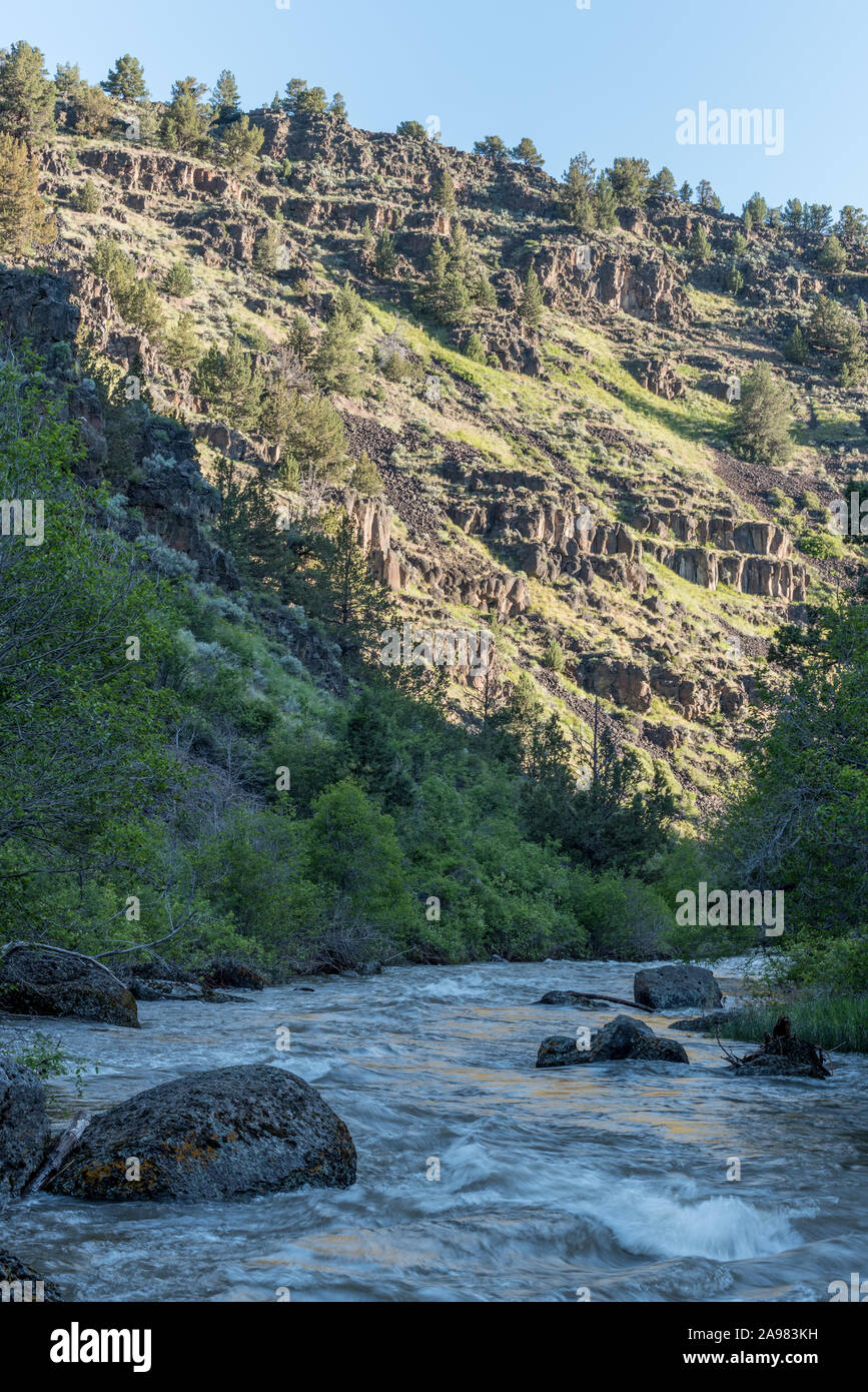 La Donner e Blitzen fiume che scorre attraverso un canyon in Eastern Oregon. Foto Stock
