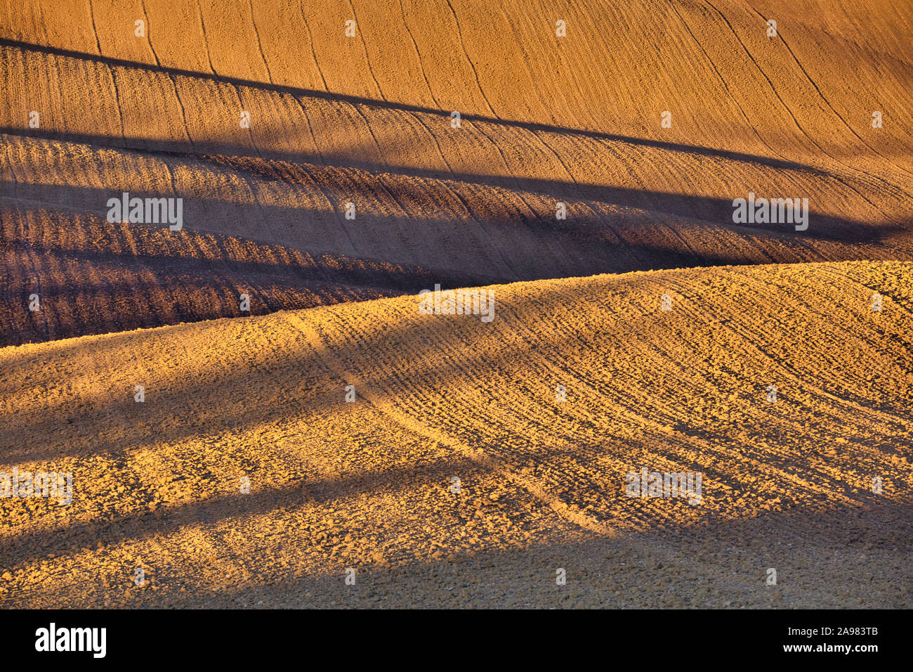 Un gioco di luci e di ombre in un campo di autunno nel paesaggio ondulato della Moravia del sud. Bassa sole di mattina delle vernici in campi di colore marrone. Toscana moravo Foto Stock