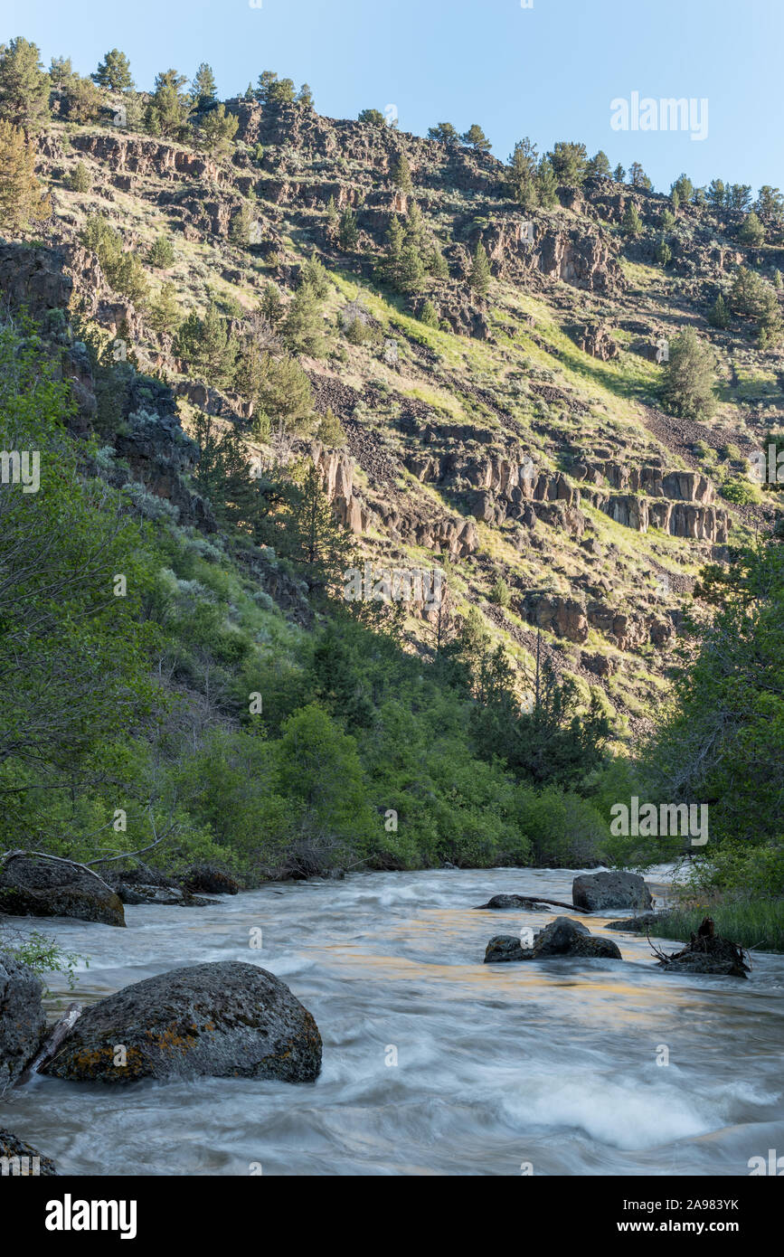 La Donner e Blitzen fiume che scorre attraverso un canyon in Eastern Oregon. Foto Stock