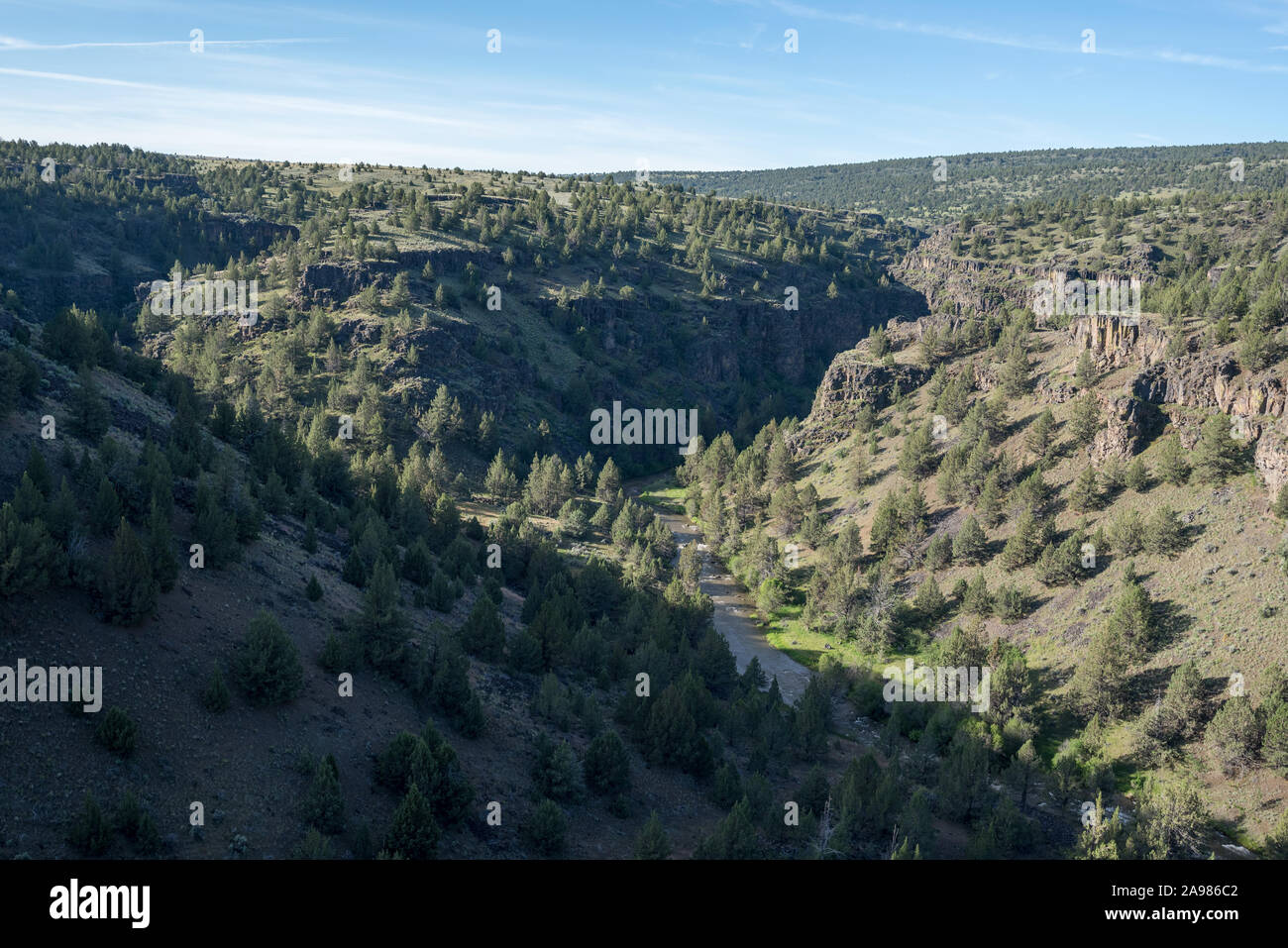 La Donner e Blitzen fiume che scorre attraverso un canyon in Eastern Oregon. Foto Stock