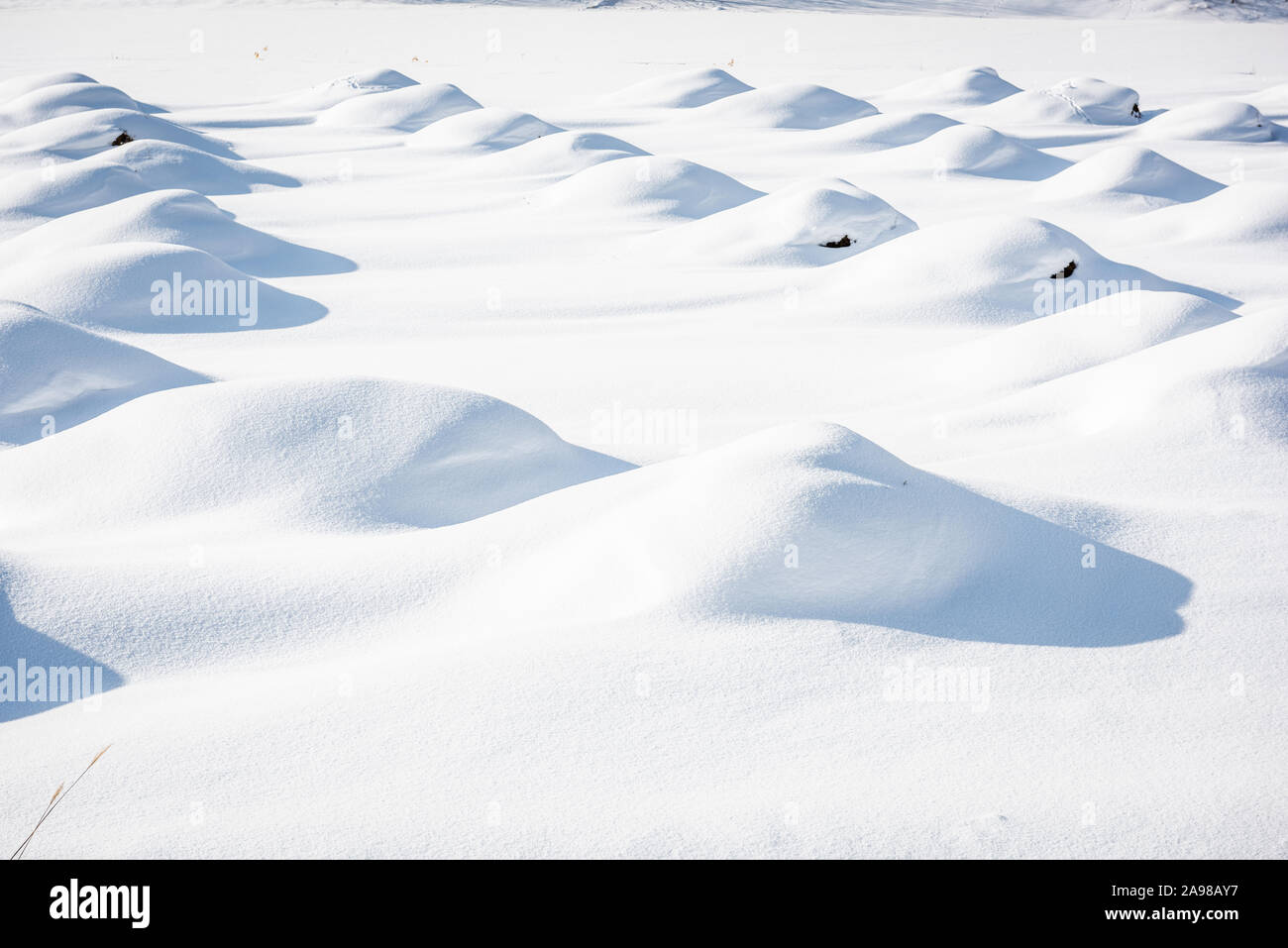 Dune di neve sulle colture di Biei,, Giappone durante la stagione invernale. Foto Stock