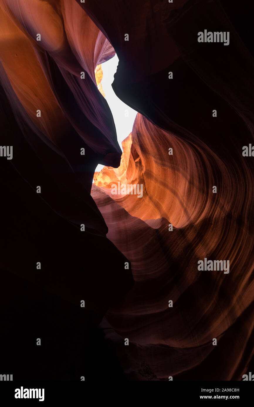 Colpo di viaggio verso l'alto di Antelope Canyon slot fatta di beauftiful pietra arenaria rossa in Arizona, Stati Uniti d'America con luce diurna di riflettente la superficie della pietra Foto Stock