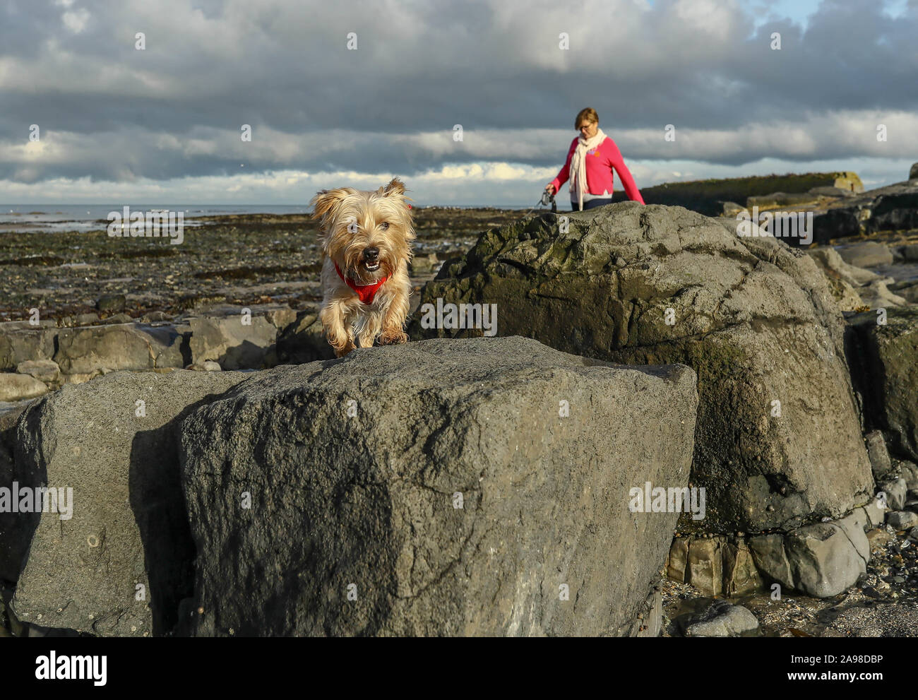 Malahide Co. Dublino Foto Stock