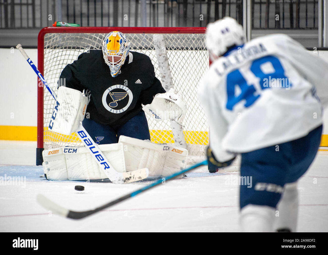 La Stanley Cup-winning St. Louis Blues ha accolto i fan di hockey a una pratica presso il loro centro di addestramento in Maryland Heights Sabato, Sett. 14, 2019. Foto Stock