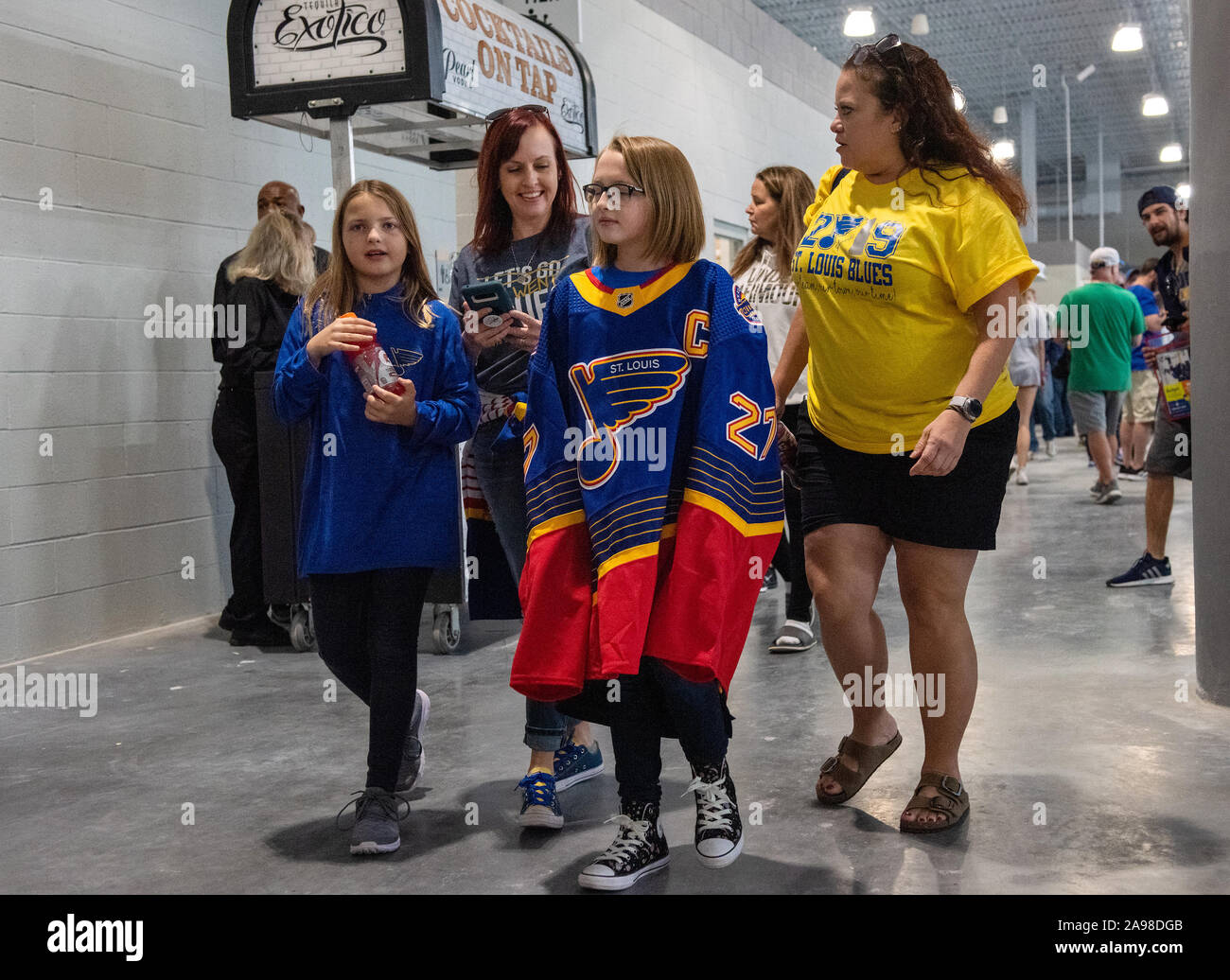 La Stanley Cup-winning St. Louis Blues ha accolto i fan di hockey a una pratica presso il loro centro di addestramento in Maryland Heights Sabato, Sett. 14, 2019. Foto Stock