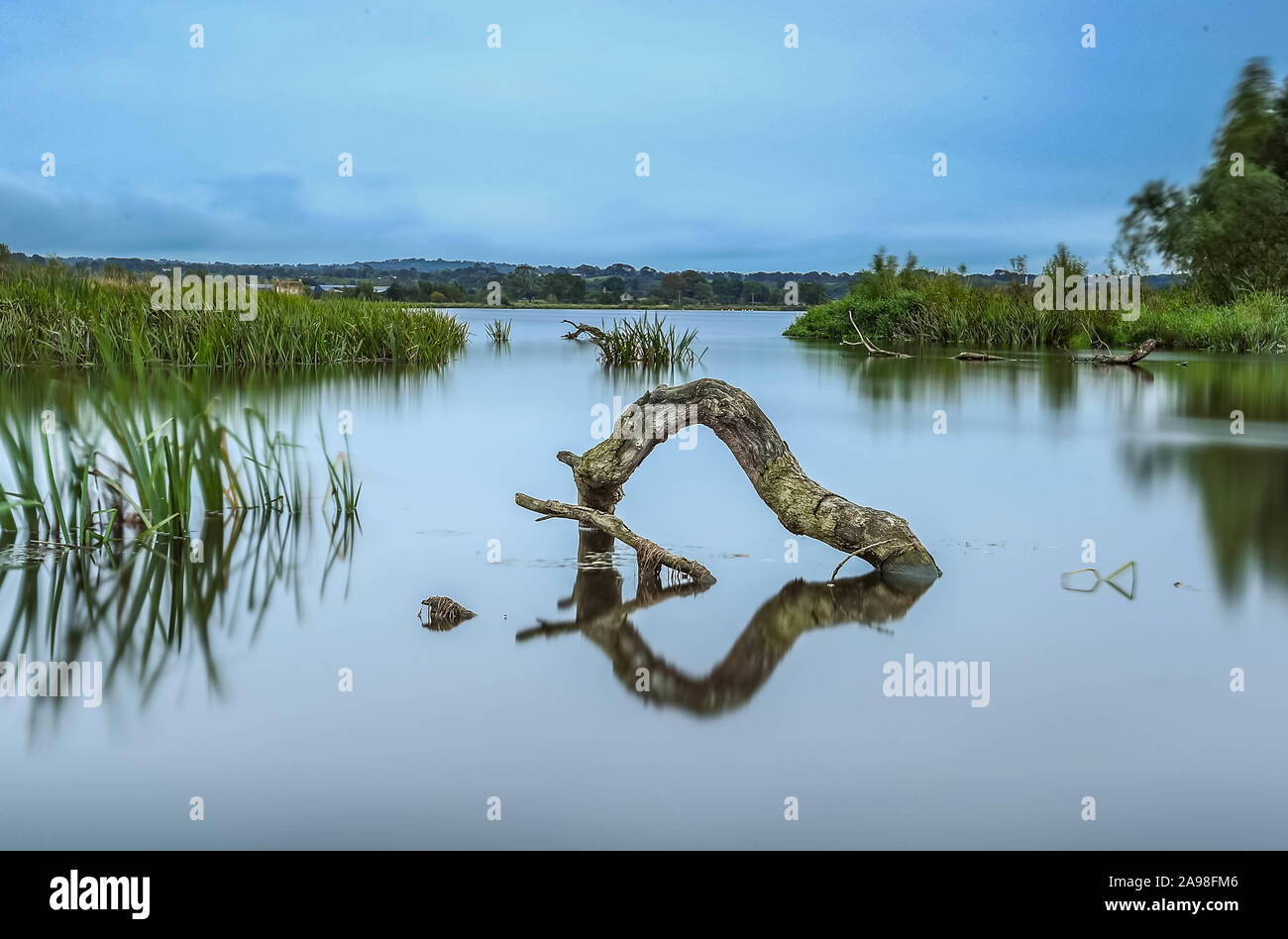 Lough Neagh Irlanda del Nord Foto Stock