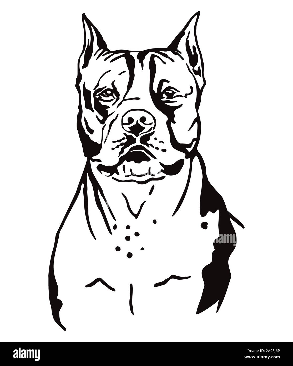 Decorativa profilo di contorno ritratto di cane American Staffordshire Terrier, illustrazione vettoriale in colore nero isolato su sfondo bianco. Immagine per Illustrazione Vettoriale