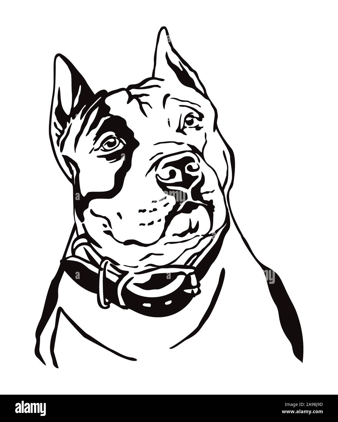 Decorativa profilo di contorno ritratto di cane American Staffordshire Terrier, illustrazione vettoriale in colore nero isolato su sfondo bianco. Immagine per Illustrazione Vettoriale