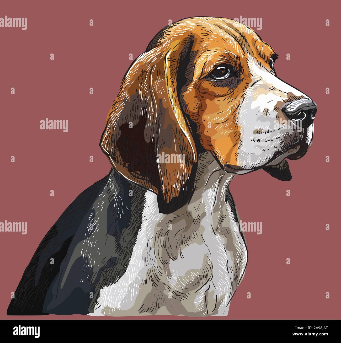 Colorate vettore Beagle del disegno a mano verticale. Isolato illustrazione vettoriale su sfondo marrone rossiccio. Vettore illustrazione realistica del cane beagle. Illustrazione Vettoriale