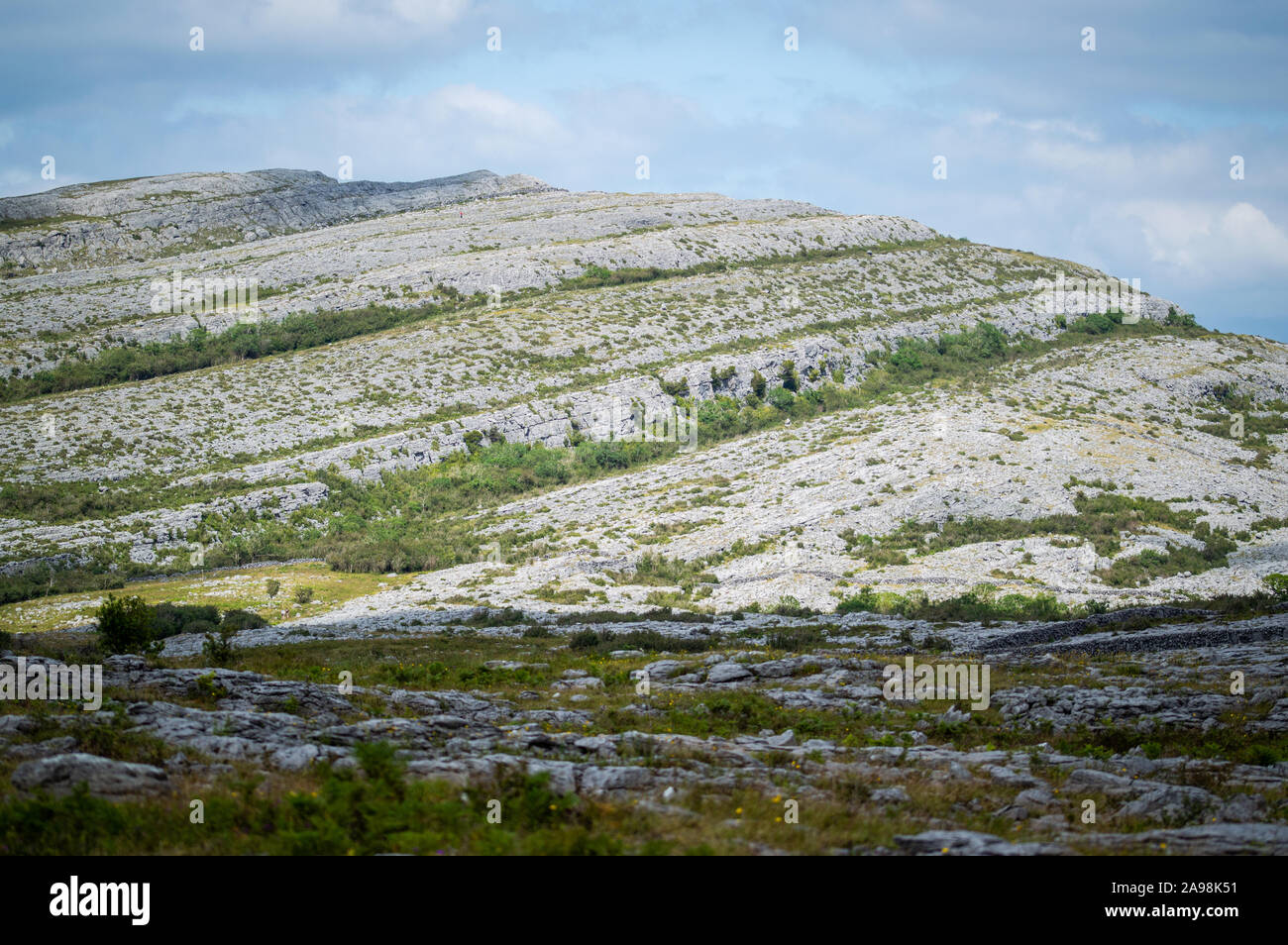 Paesaggio carsico in Irlanda Foto Stock