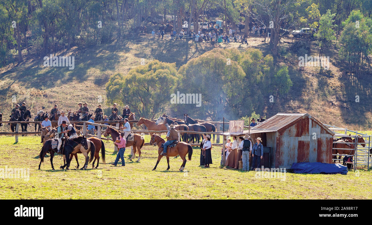 CORRYONG, Victoria, Australia - 5 APRILE 2019: l'uomo da Snowy River Bush Festival rievocazione, a cavallo allevamento cavalli selvaggi ad Homestead Foto Stock