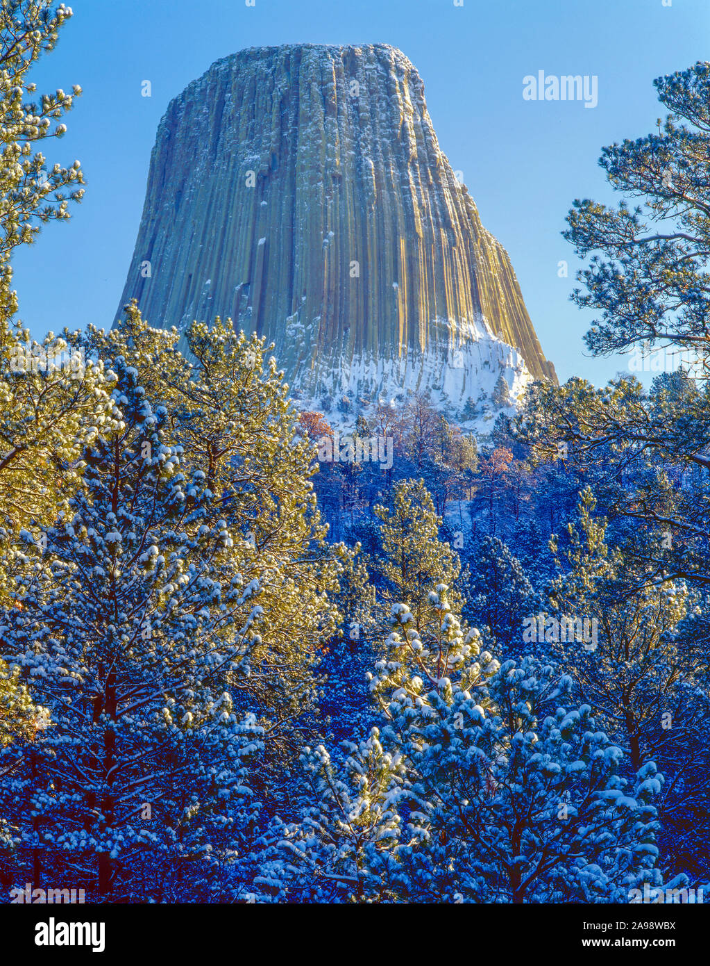 Devils Tower e la neve fresca, Devils Tower National Monument, Wyoming Western Black Hills Foto Stock