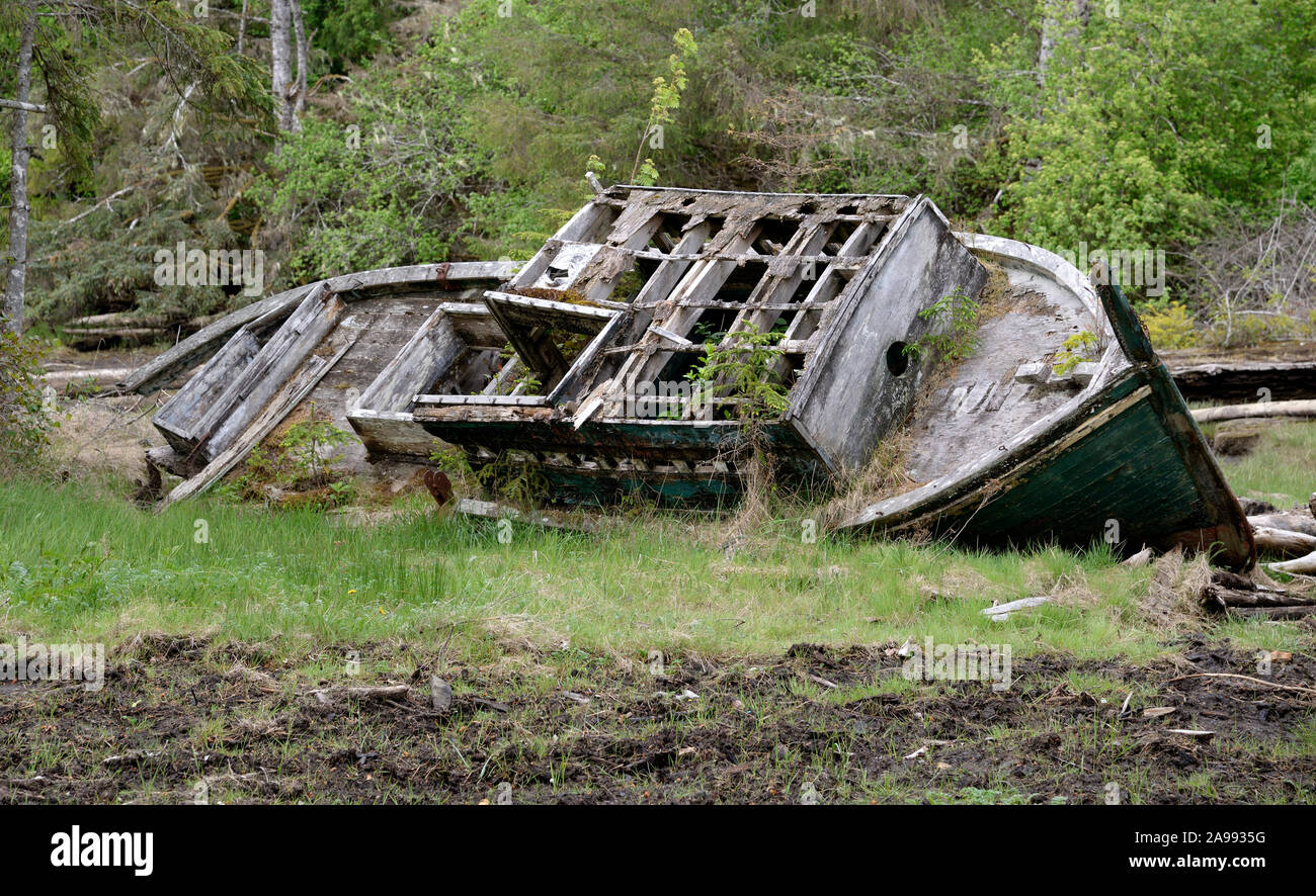 Haida Gwaii, British Columbia, Canada. Foto Stock