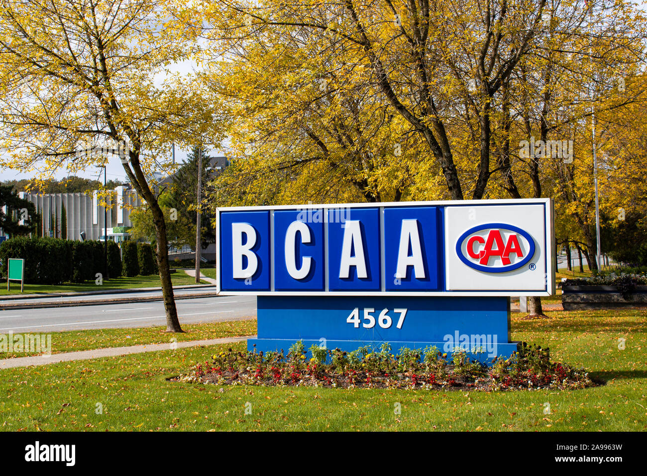 BCAA (British Columbia Automobile Association) segno di fronte al quartier generale Foto Stock