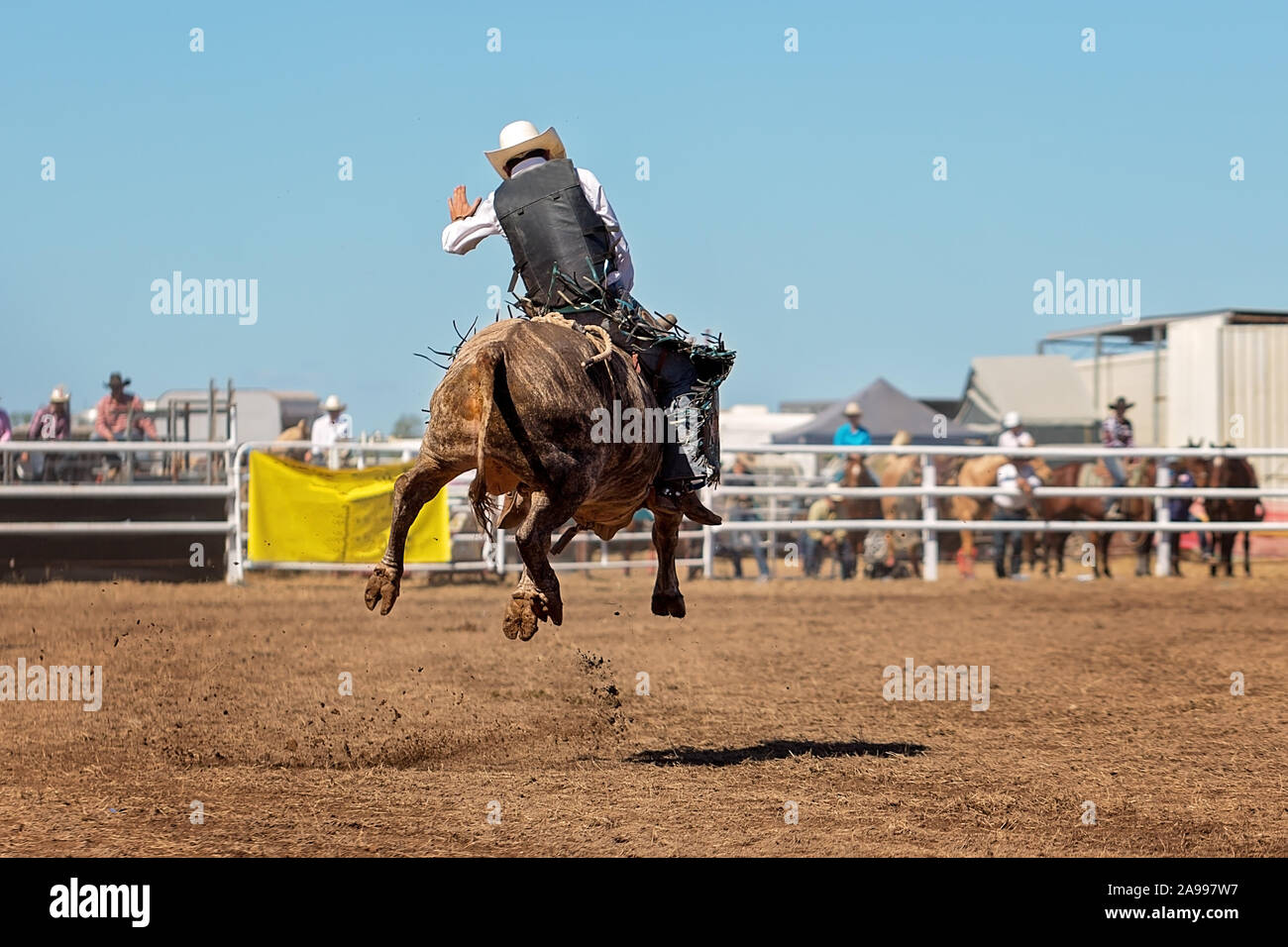 Un cowboy competere nel toro di equitazione evento in un paese rodeo Foto Stock